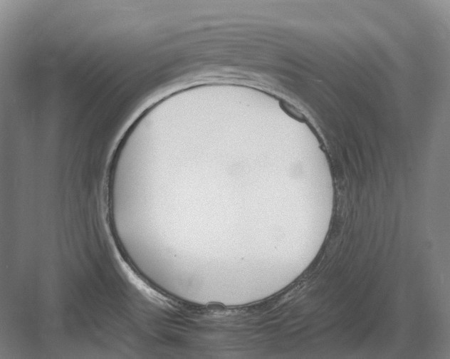 X0000082151531200702162155