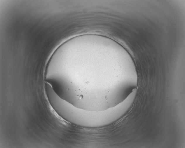 X0000082151532200702162155