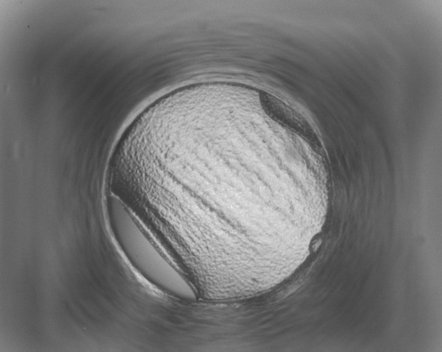 X0000082151533200702162155