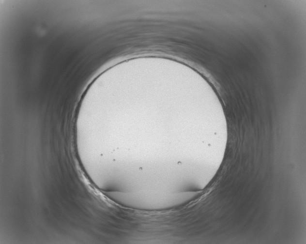 X0000082151534200702162155