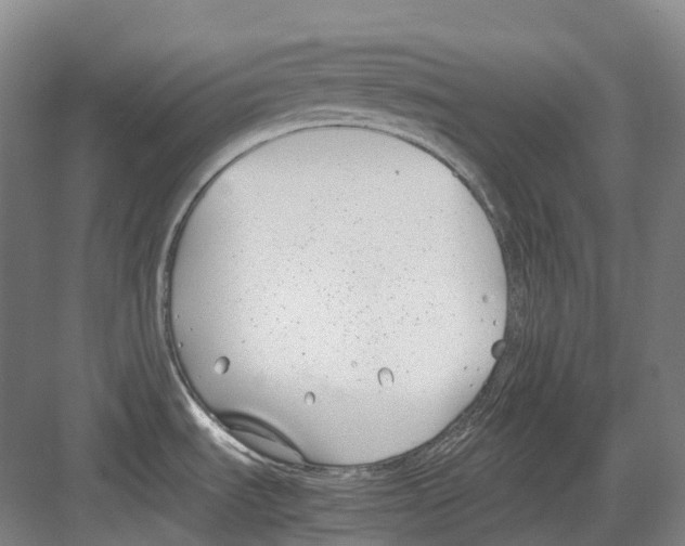 X0000082151535200702162155