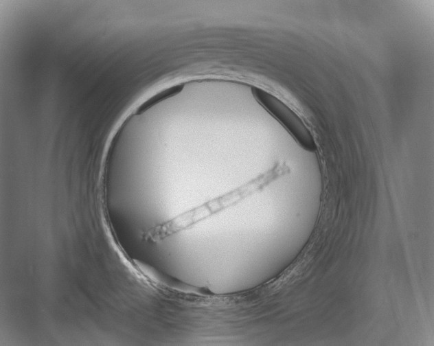 X0000082151536200702162155