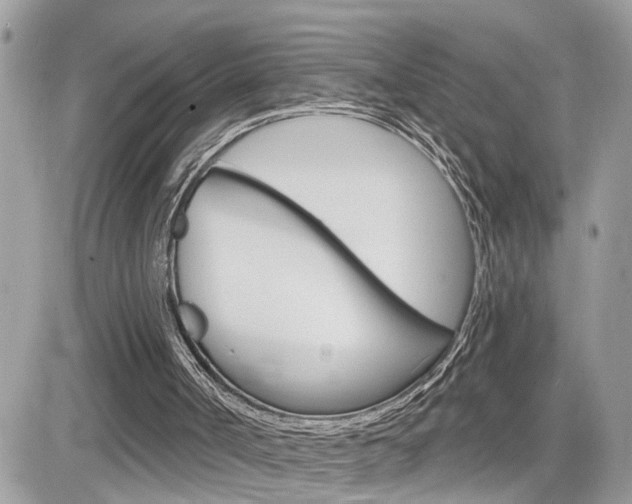 X0000082160002200701191007