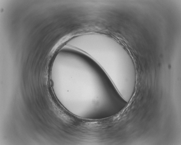 X0000082160054200701191005