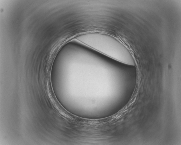 X0000082160097200701191005