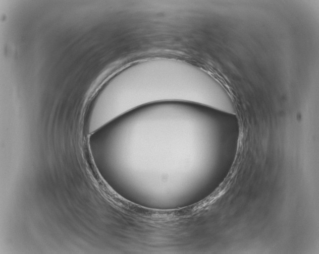 X0000082160101200701191005