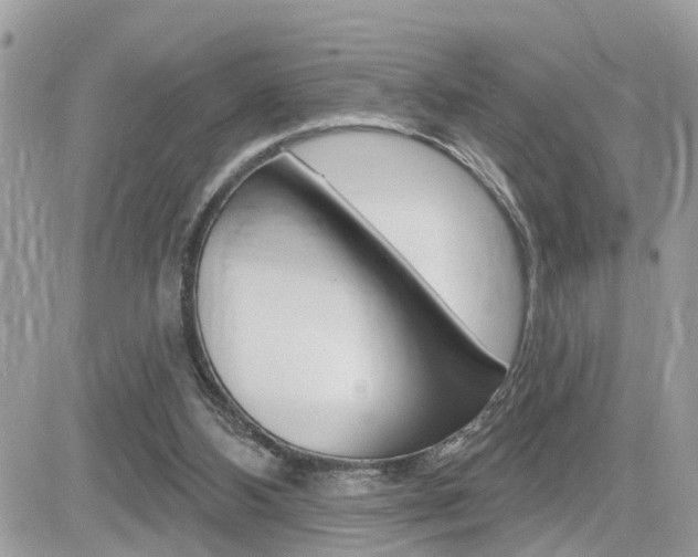 X0000082160108200701191005