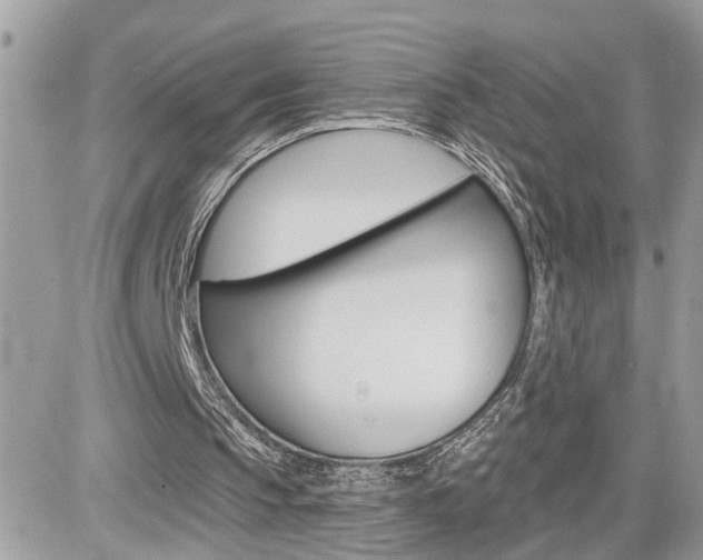 X0000082160145200701191004