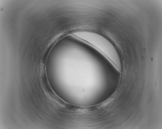X0000082160164200701191004