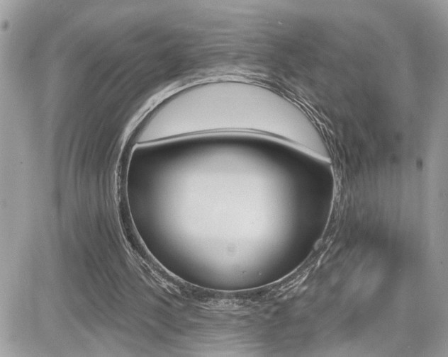 X0000082160244200701191002