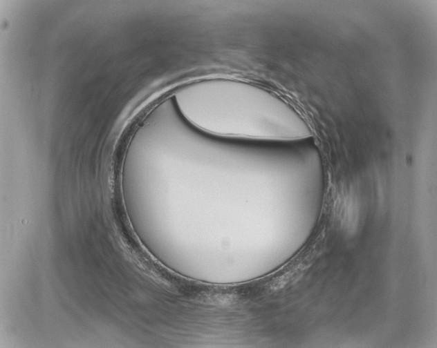 X0000082160247200701191002