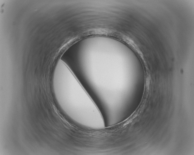 X0000082160249200701191002