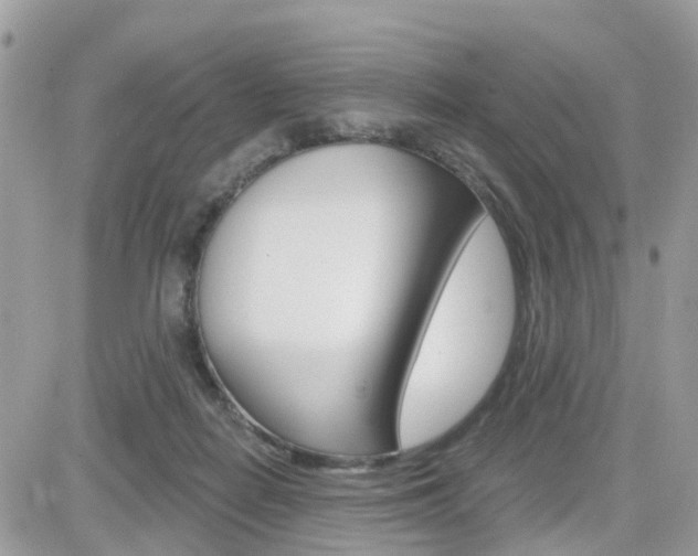 X0000082160266200701191003