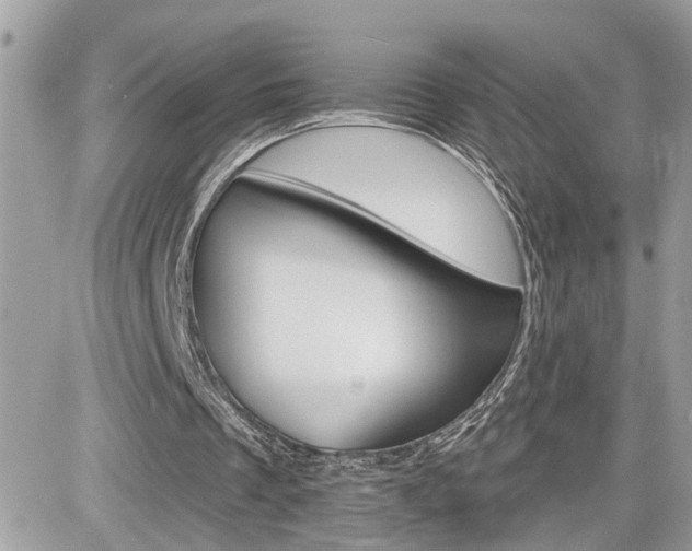 X0000082160289200701191002