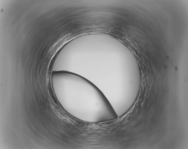 X0000082160290200701191002