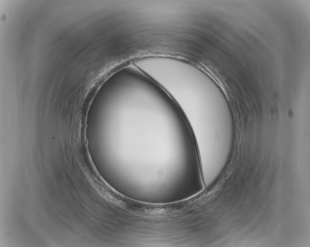 X0000082160301200701191002