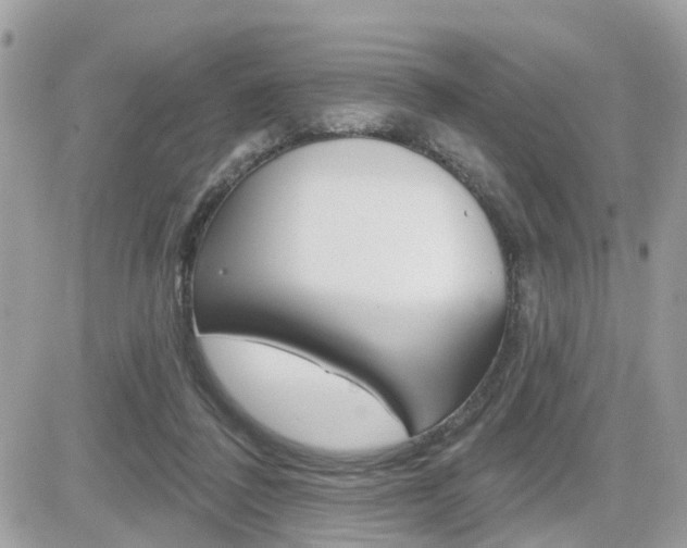 X0000082160308200701191002