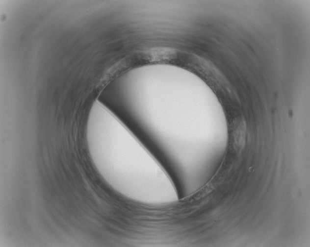X0000082160316200701191002