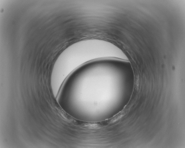 X0000082160428200701191000