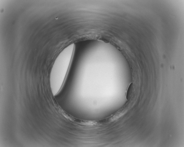 X0000082160432200701191000