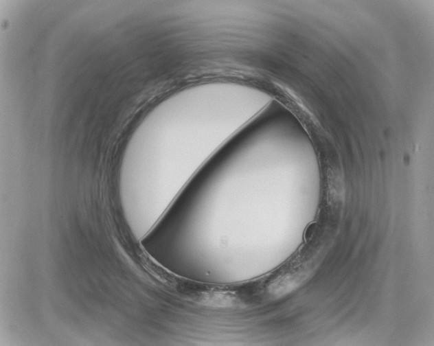 X0000082160451200701190959
