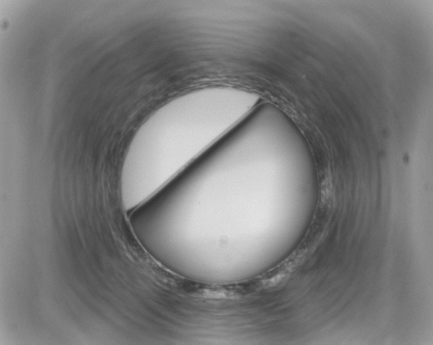 X0000082160464200701191000