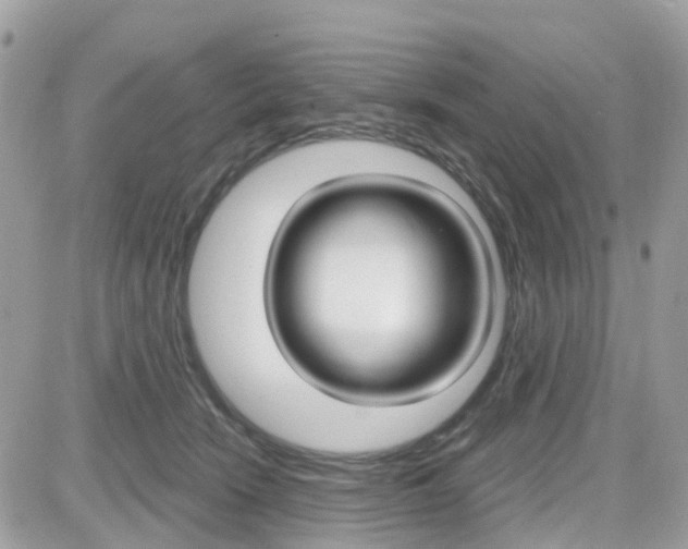 X0000082160466200701191000