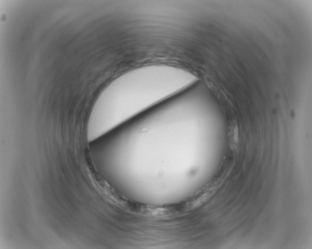 X0000082160472200701191000