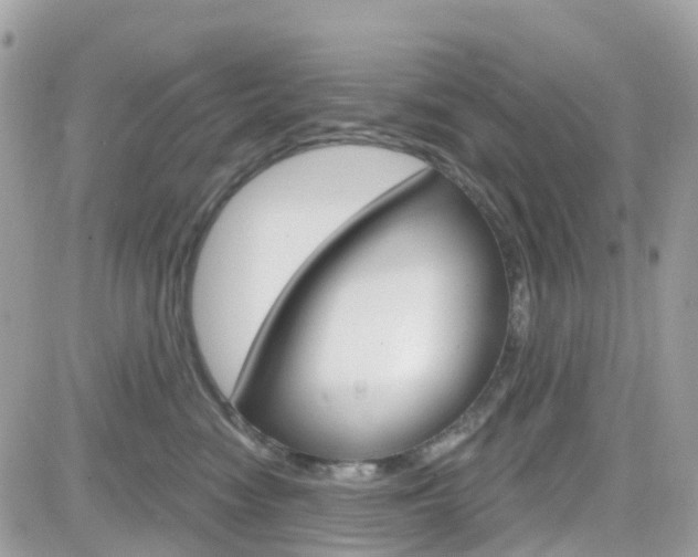 X0000082160474200701191000