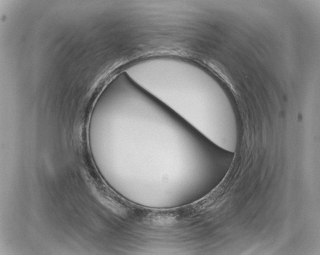 X0000082160491200701190959