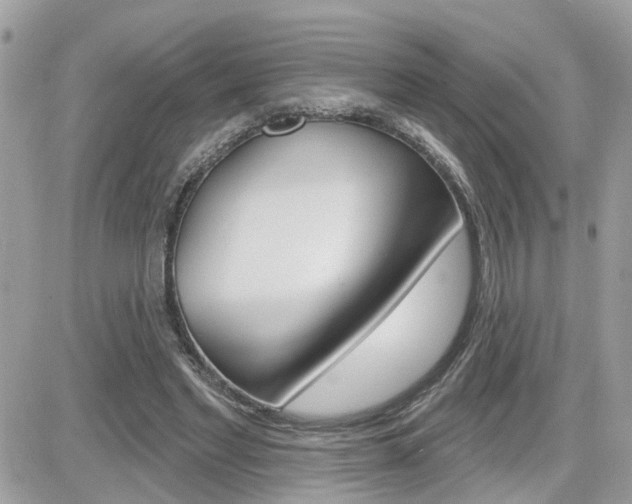 X0000082160493200701190959
