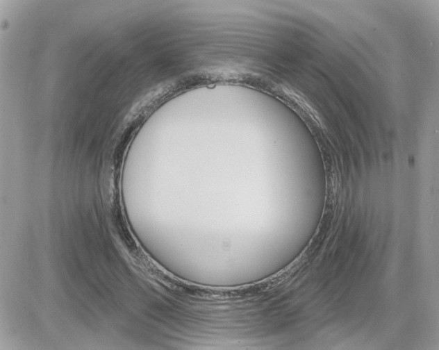 X0000082160494200701190959