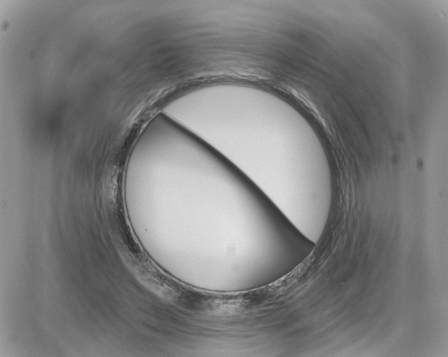 X0000082160495200701190959