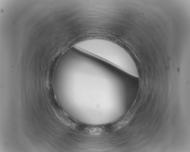 X0000082160512200701190959