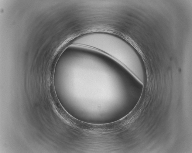 X0000082160530200701190958
