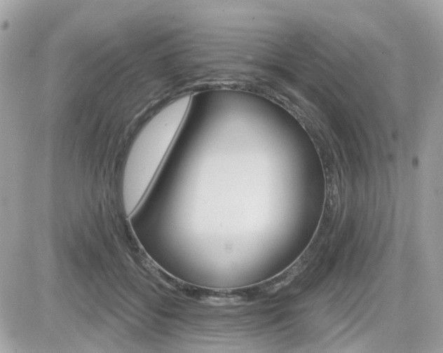 X0000082160556200701190958