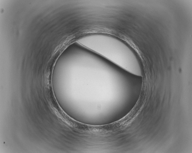 X0000082160585200701190957