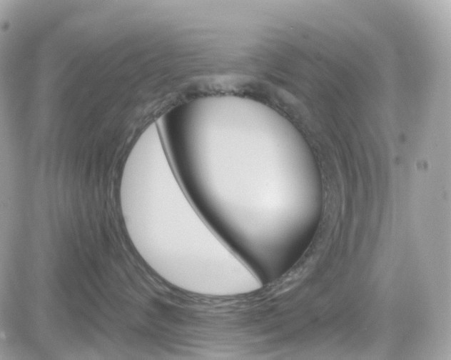 X0000082160624200701190957