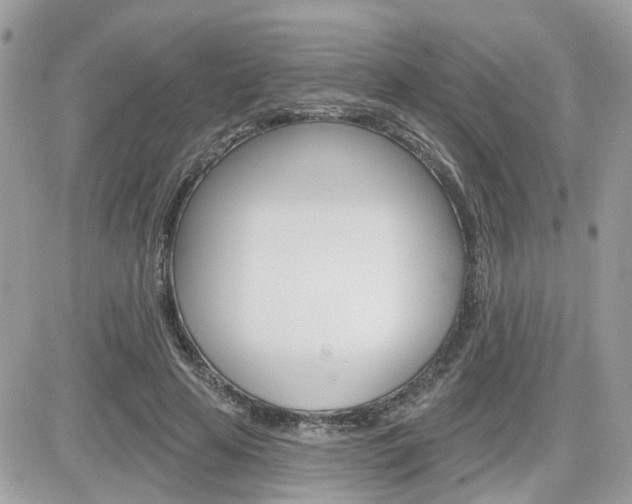 X0000082160641200701190956