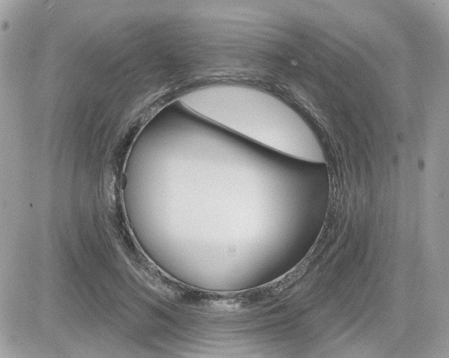 X0000082160692200701190956