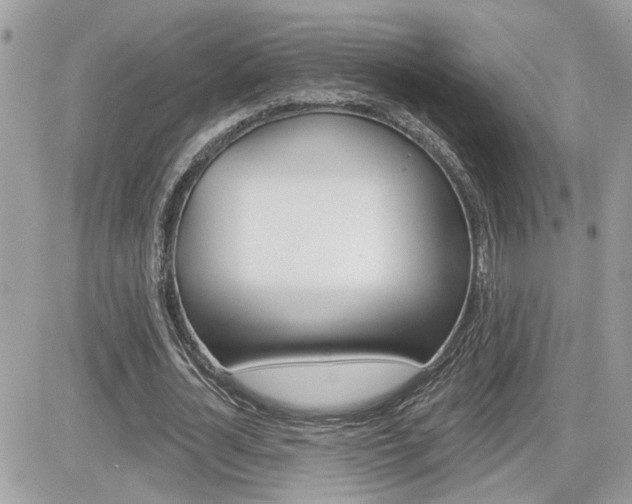 X0000082160724200701190955