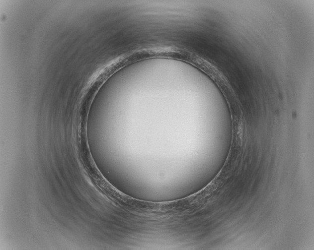 X0000082160732200701190955