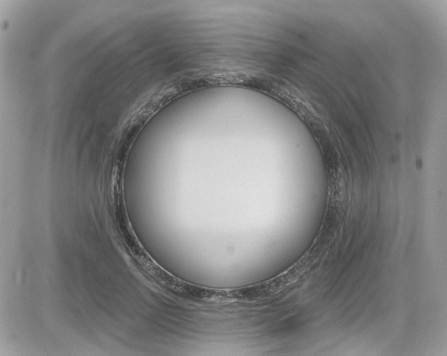 X0000082160742200701190955