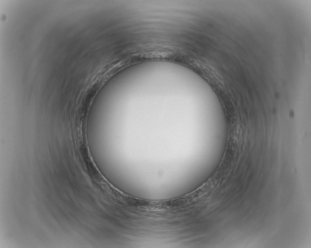 X0000082160743200701190955