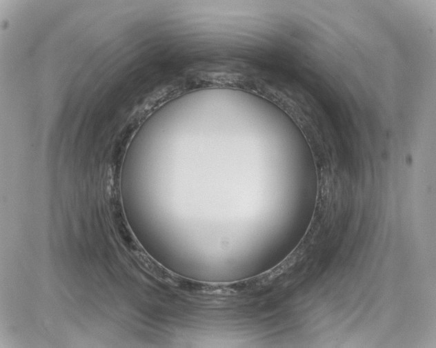 X0000082160752200701190955