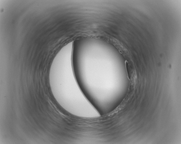X0000082160764200701190955