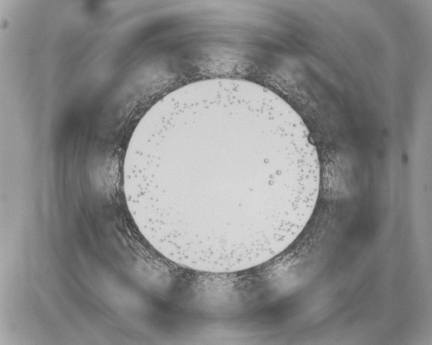 X0000082160820200701190953