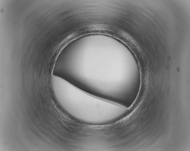 X0000082160825200701190953