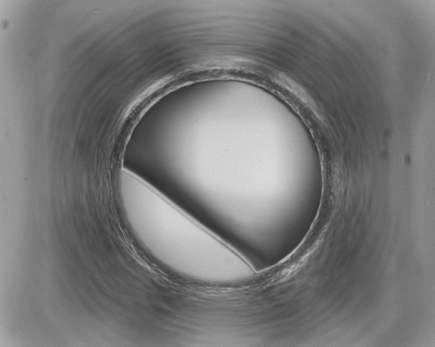 X0000082160826200701190953