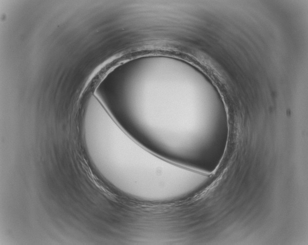 X0000082160830200701190953